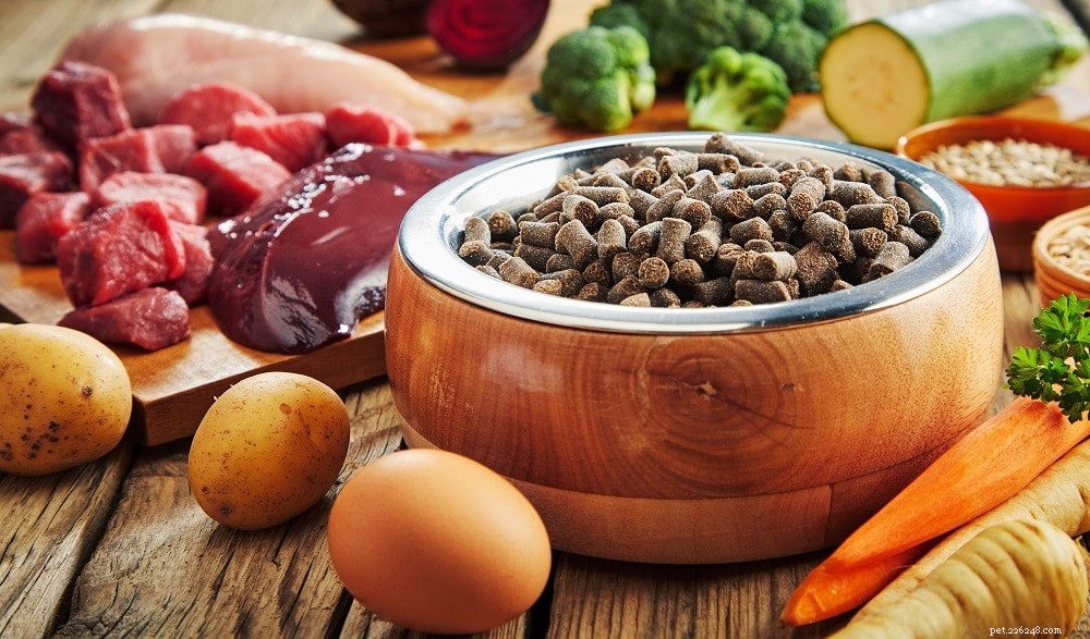 Choosing the Right Proteins for Your Dog: Complete vs. Incomplete