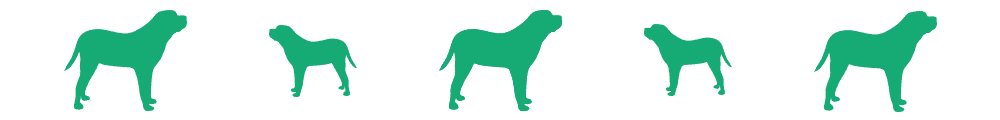 Understanding Canine Degenerative Myelopathy: Symptoms, Causes, and Care