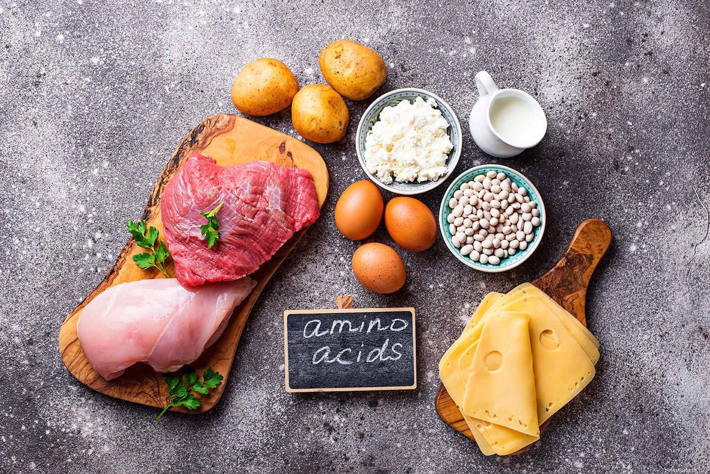 Understanding Essential vs. Non‑Essential Amino Acids in Your Dog s Diet