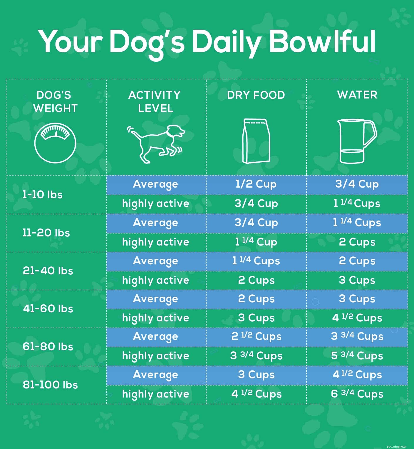 19 Proven Dog Health Care Routines & Daily Care Guide