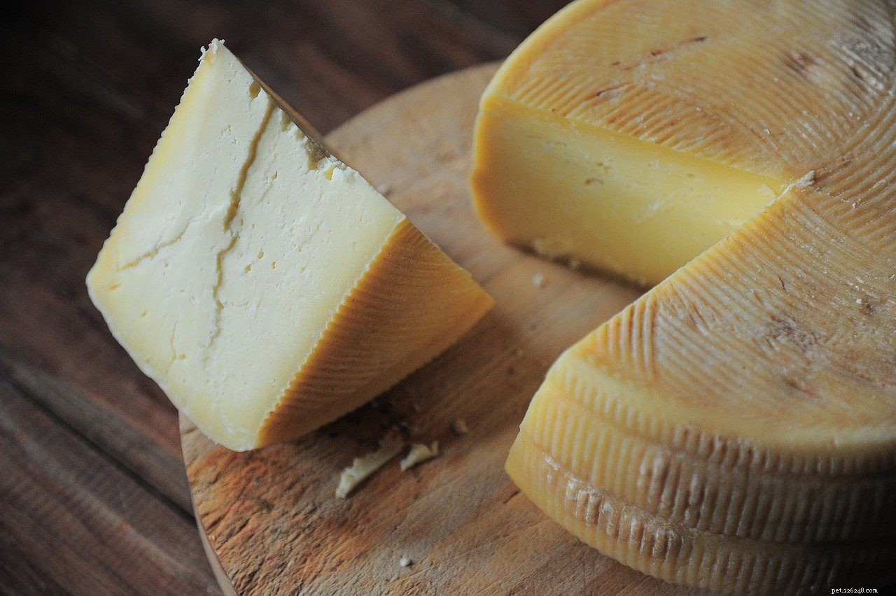 Optimal Calcium Levels for Dogs: 6 Trusted Sources for Strong Bones and Healthy Coat