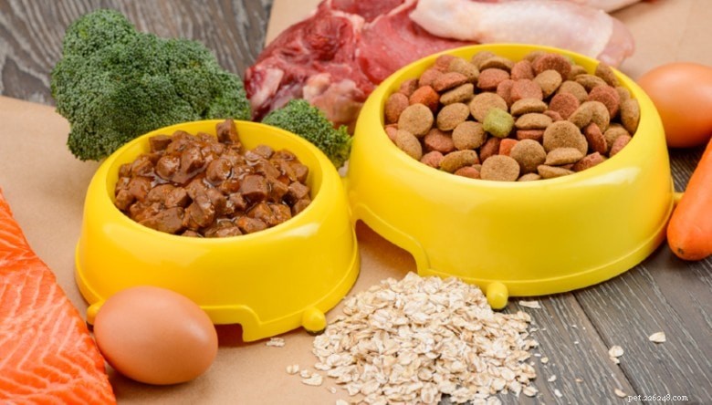 Choosing the Best Dog Food: A Guide to Optimal Nutrition