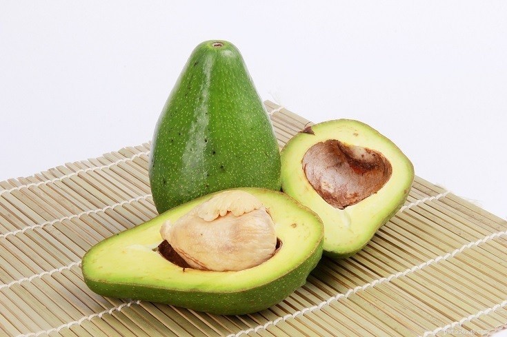 17 Foods Dogs Must Avoid: Protect Your Furry Friend