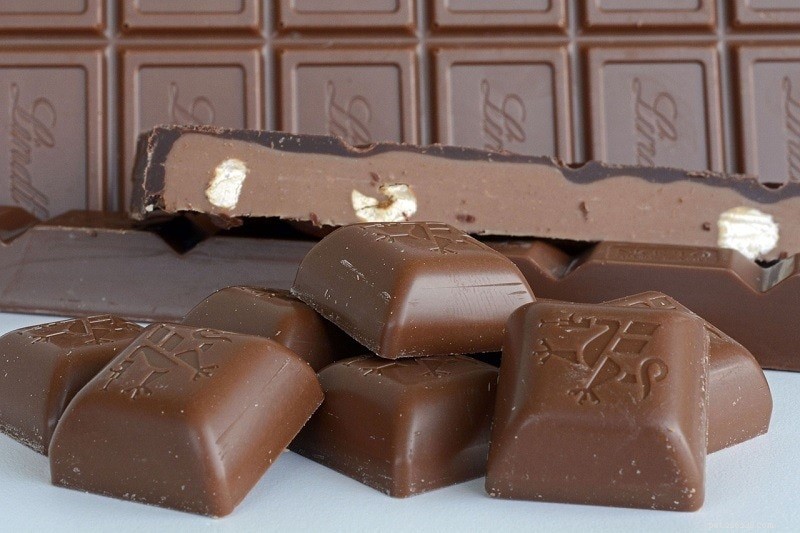 17 Foods Dogs Must Avoid: Protect Your Furry Friend