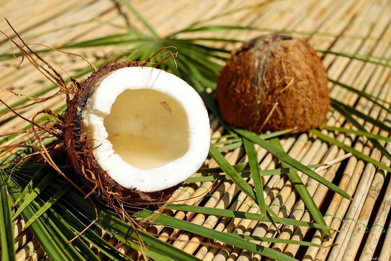 17 Foods Dogs Must Avoid: Protect Your Furry Friend