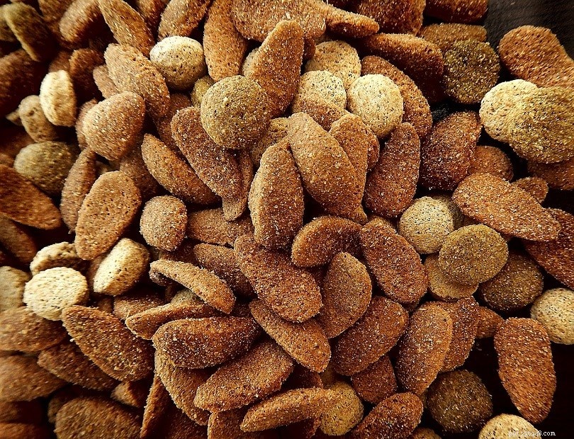 Can Dogs Thrive on a Vegetarian Diet? Exploring the Facts
