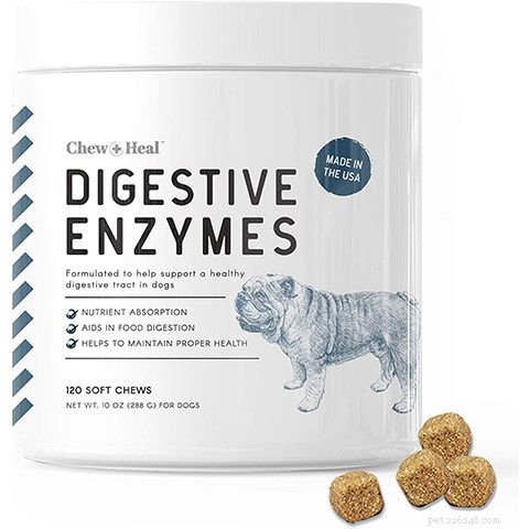 Top 10 Digestive‑Friendly Dog Treats of 2022: Expert‑Chosen Picks