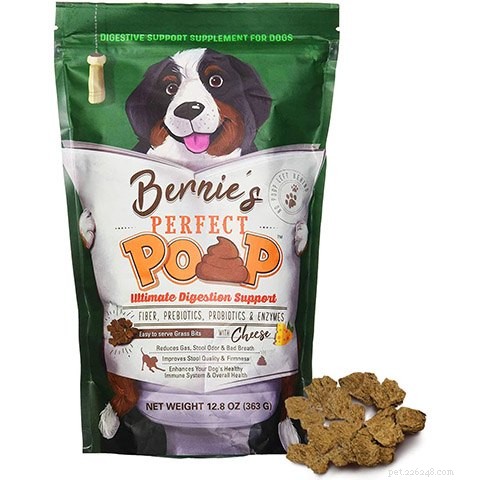 Top 10 Digestive‑Friendly Dog Treats of 2022: Expert‑Chosen Picks