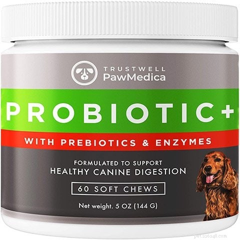 Top 10 Digestive‑Friendly Dog Treats of 2022: Expert‑Chosen Picks