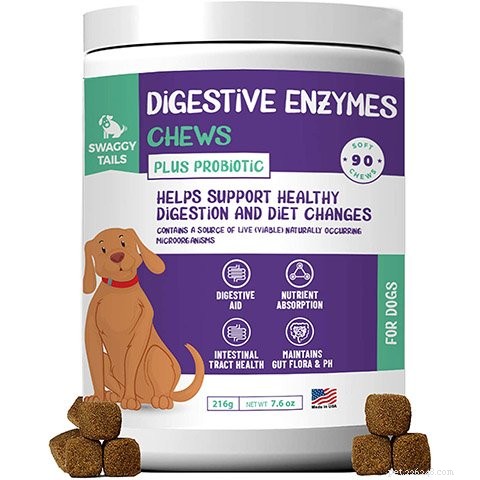 Top 10 Digestive‑Friendly Dog Treats of 2022: Expert‑Chosen Picks