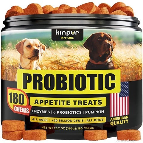 Top 10 Digestive‑Friendly Dog Treats of 2022: Expert‑Chosen Picks