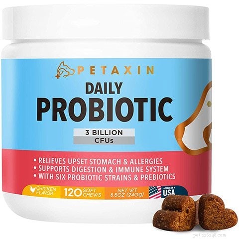Top 10 Digestive‑Friendly Dog Treats of 2022: Expert‑Chosen Picks