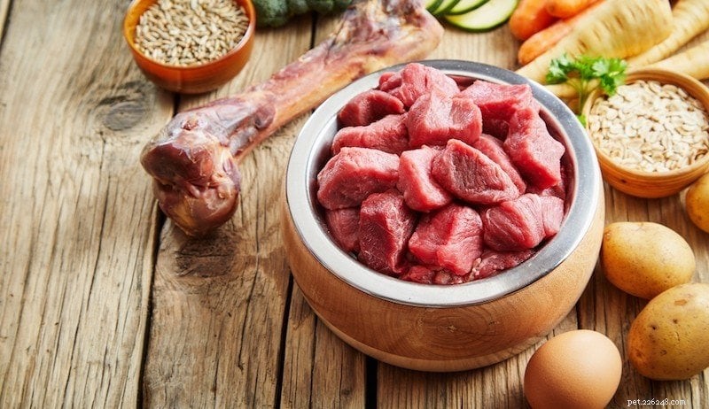 Essential Feeding Guidelines for a Healthy Dog
