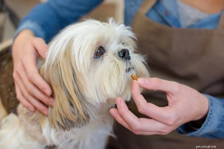 Effective Strategies to Ease Your Dog’s Separation Anxiety