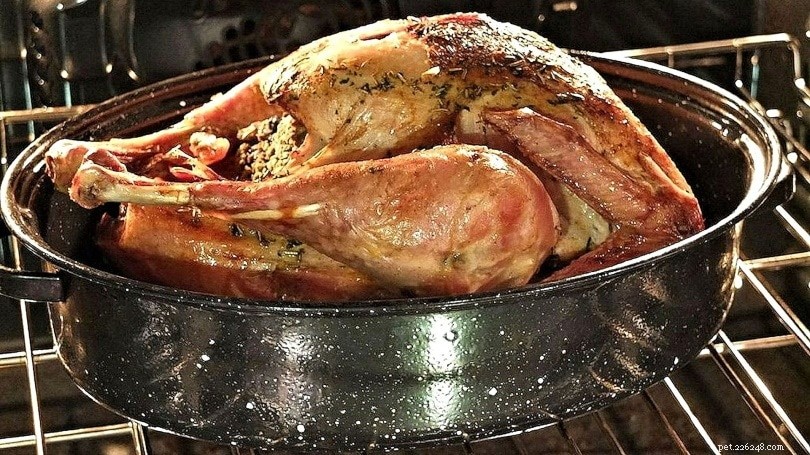 Is Turkey Safe for Dogs? Key Guidelines for a Healthy Holiday Treat