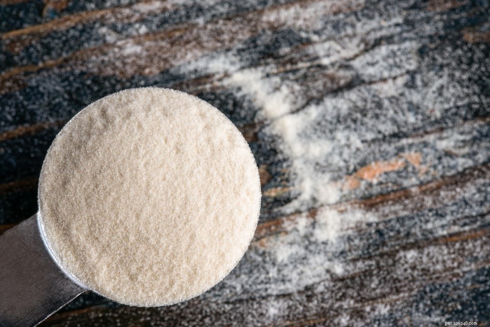 Xanthan Gum and Dogs: A Comprehensive Guide to Safety and Health