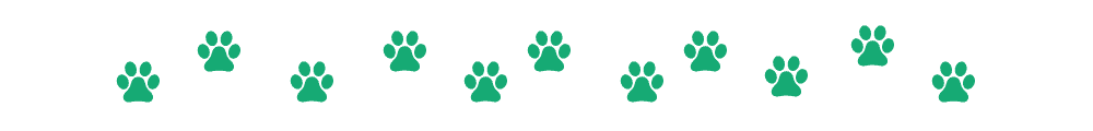 Brewer’s Yeast for Dogs: Expert Guide to Benefits, Uses & Safety