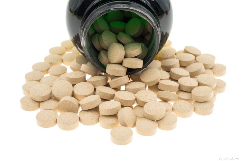 Brewer’s Yeast for Dogs: Expert Guide to Benefits, Uses & Safety