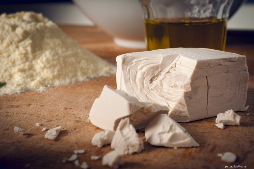 Brewer’s Yeast for Dogs: Expert Guide to Benefits, Uses & Safety