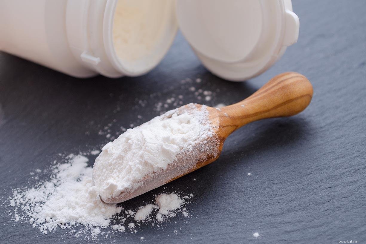 Inulin for Dogs: Proven Health Benefits, Uses, and Potential Side Effects