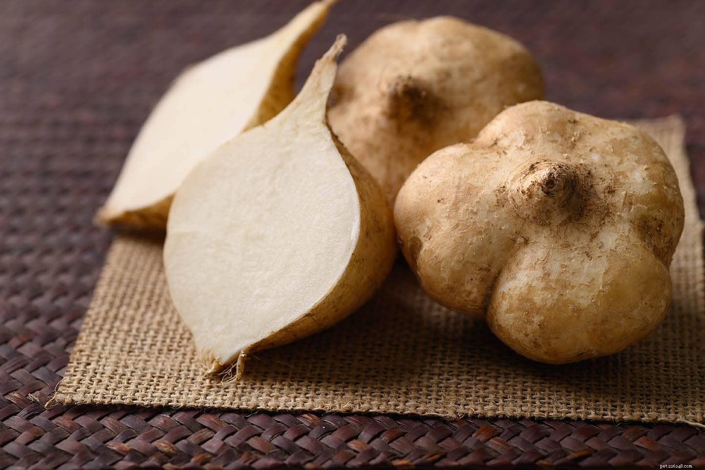 Is Jicama Safe for Dogs? Essential Guide for Pet Owners