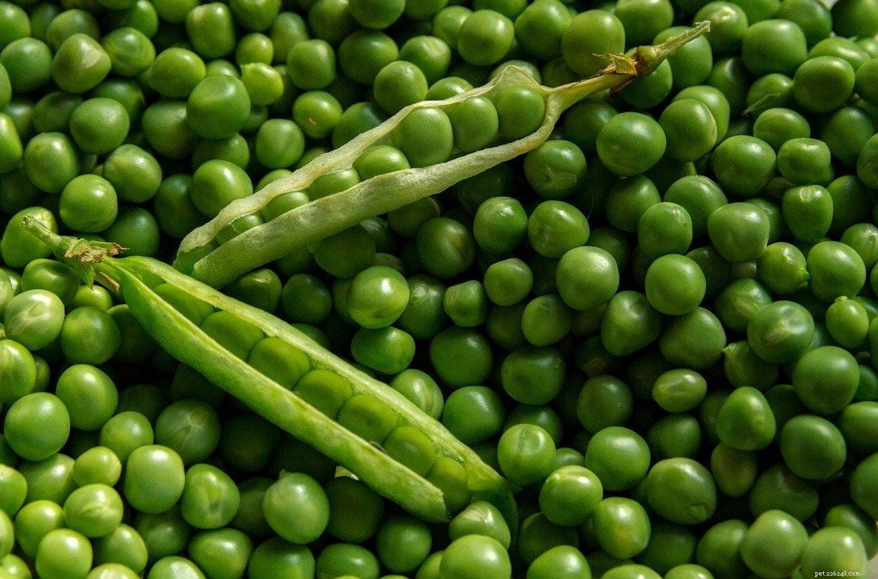 Are Peas Safe for Dogs? Expert Guide on Benefits & Risks