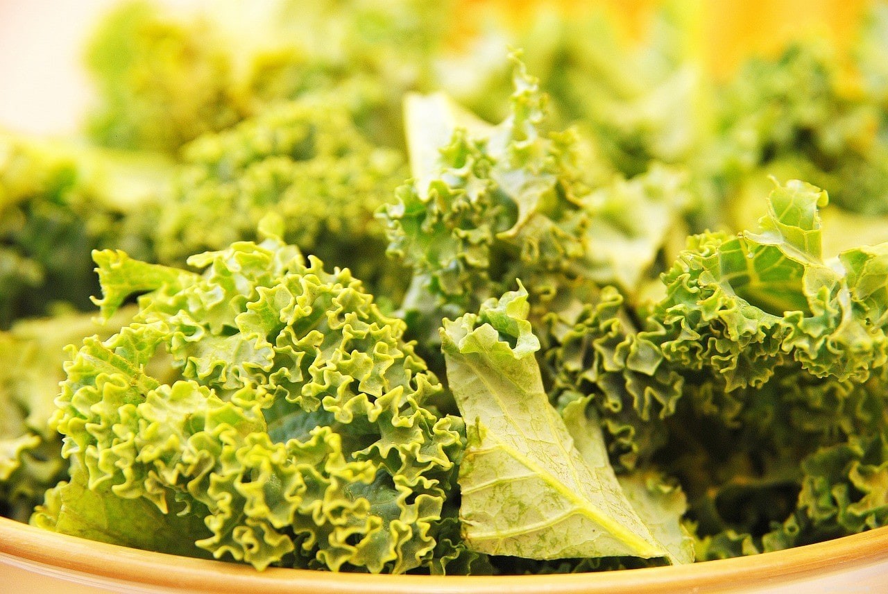 9 Proven Anti‑Inflammatory Foods to Keep Your Dog Healthy
