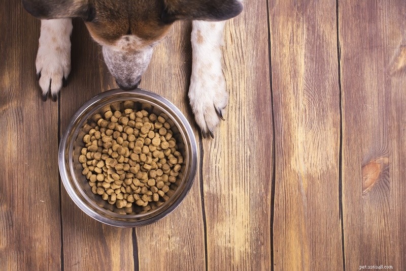 Why You Should Avoid BHA and BHT in Your Dog’s Food