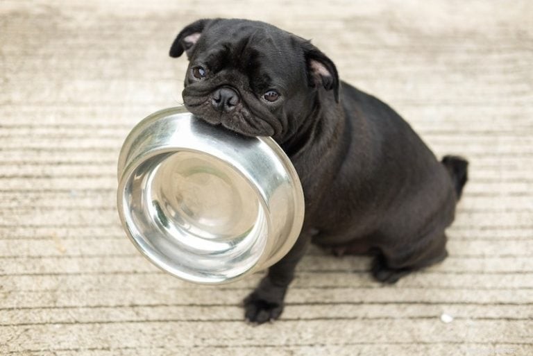 DL-Methionine for Dogs: Essential Benefits, Practical Uses, and Potential Side Effects