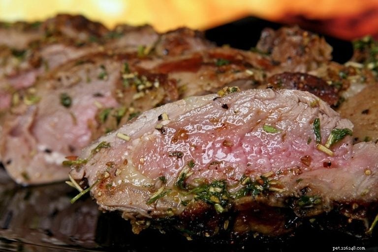 5 Key Advantages of Adding Venison to Your Dog’s Diet