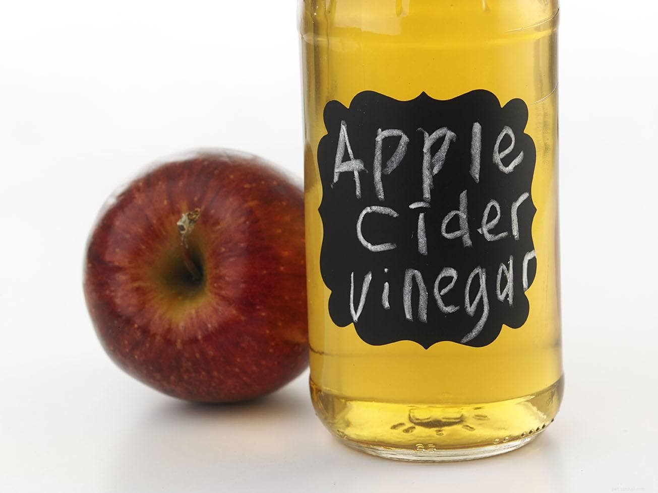 Apple Cider Vinegar for Dogs: 9 Proven Uses & Benefits