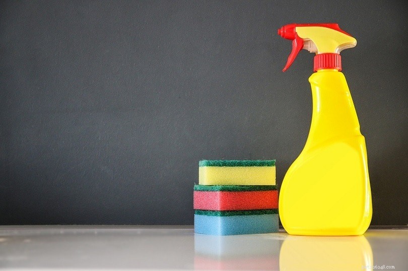 Apple Cider Vinegar for Dogs: 9 Proven Uses & Benefits