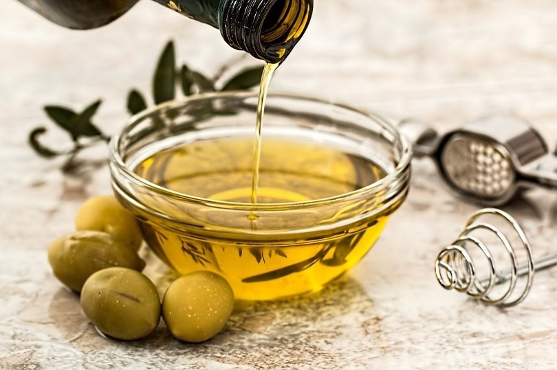 Top 10 Reliable Fat Sources for Optimal Canine Health