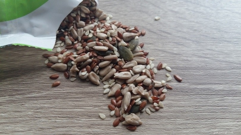 Top 10 Reliable Fat Sources for Optimal Canine Health
