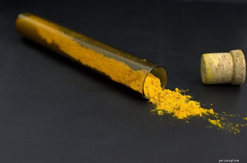 Three Safe & Healthy Turmeric Dog Recipes – Quick & Easy
