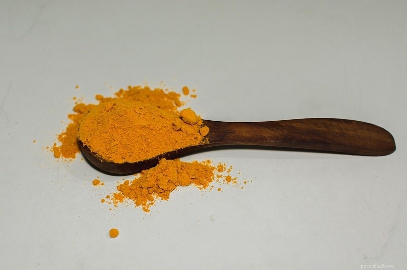 Three Safe & Healthy Turmeric Dog Recipes – Quick & Easy