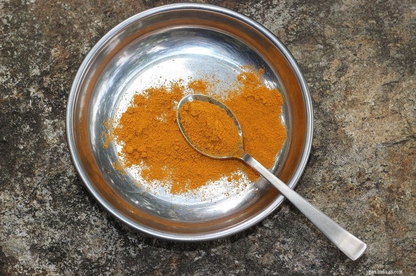 Three Safe & Healthy Turmeric Dog Recipes – Quick & Easy