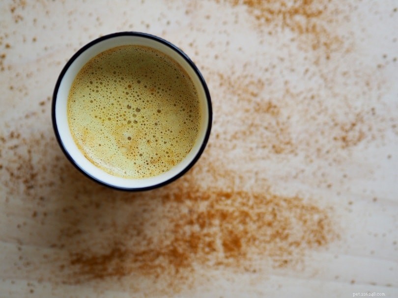 Three Safe & Healthy Turmeric Dog Recipes – Quick & Easy