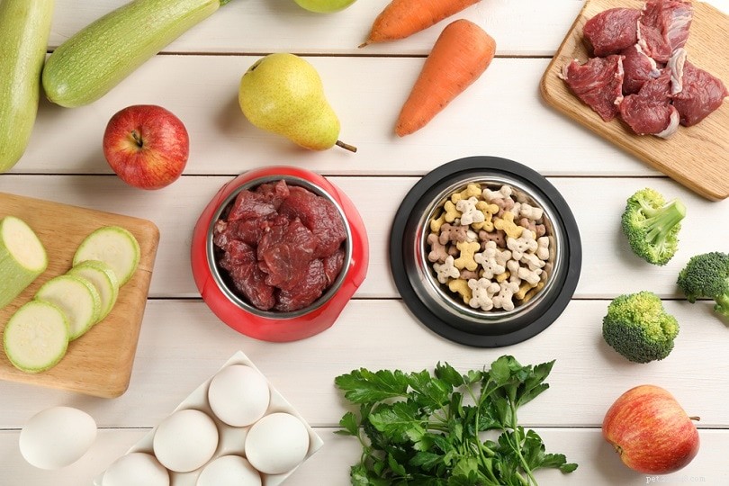 Manganese in a Dog’s Diet: Essential Benefits, Safe Use & Potential Side Effects