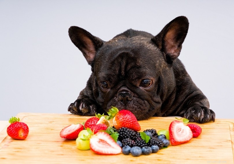 Manganese in a Dog’s Diet: Essential Benefits, Safe Use & Potential Side Effects