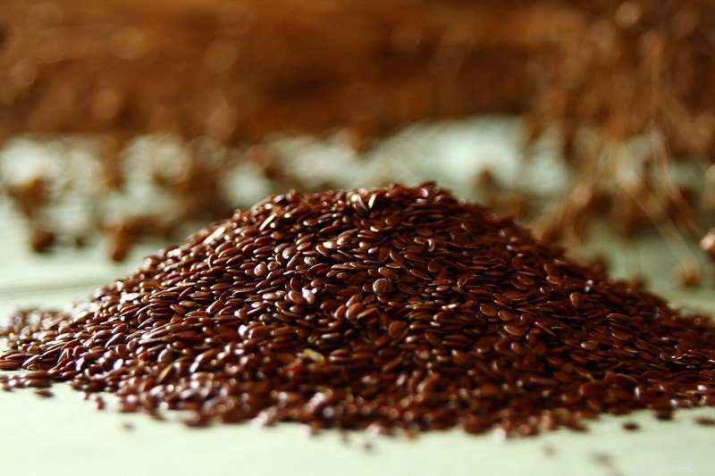 Flaxseed for Dogs: Safe, Nutritious, and How to Use It
