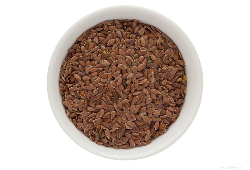 Flaxseed for Dogs: Safe, Nutritious, and How to Use It