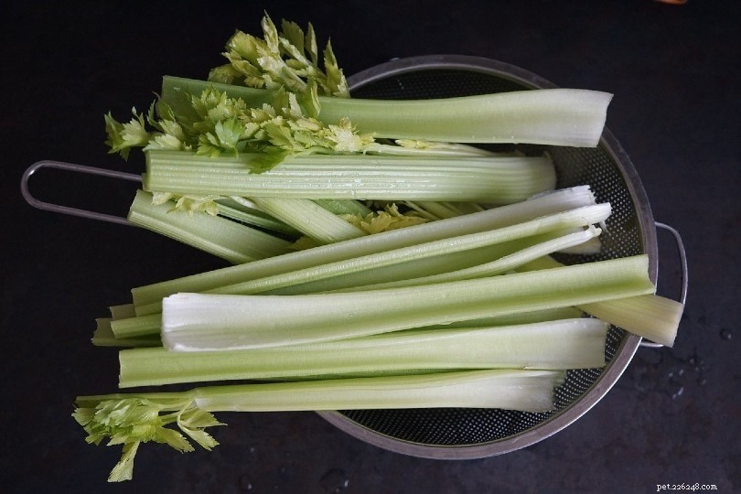 12 Nutritional Foods to Strengthen Your Dog s Joints