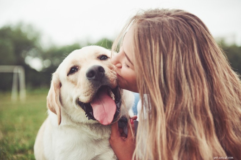 Top 10 Canine Companions for Emotional Support: Trusted Breeds for Healing