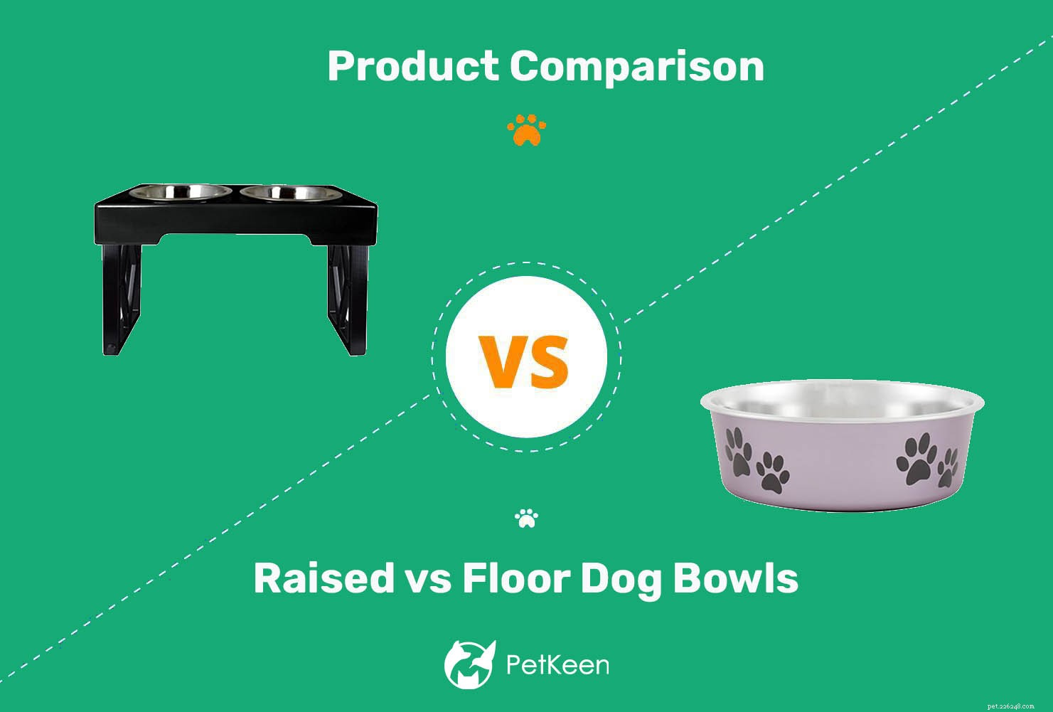 Raised vs. Floor Dog Bowls: How to Choose the Best for Your Pet s Health