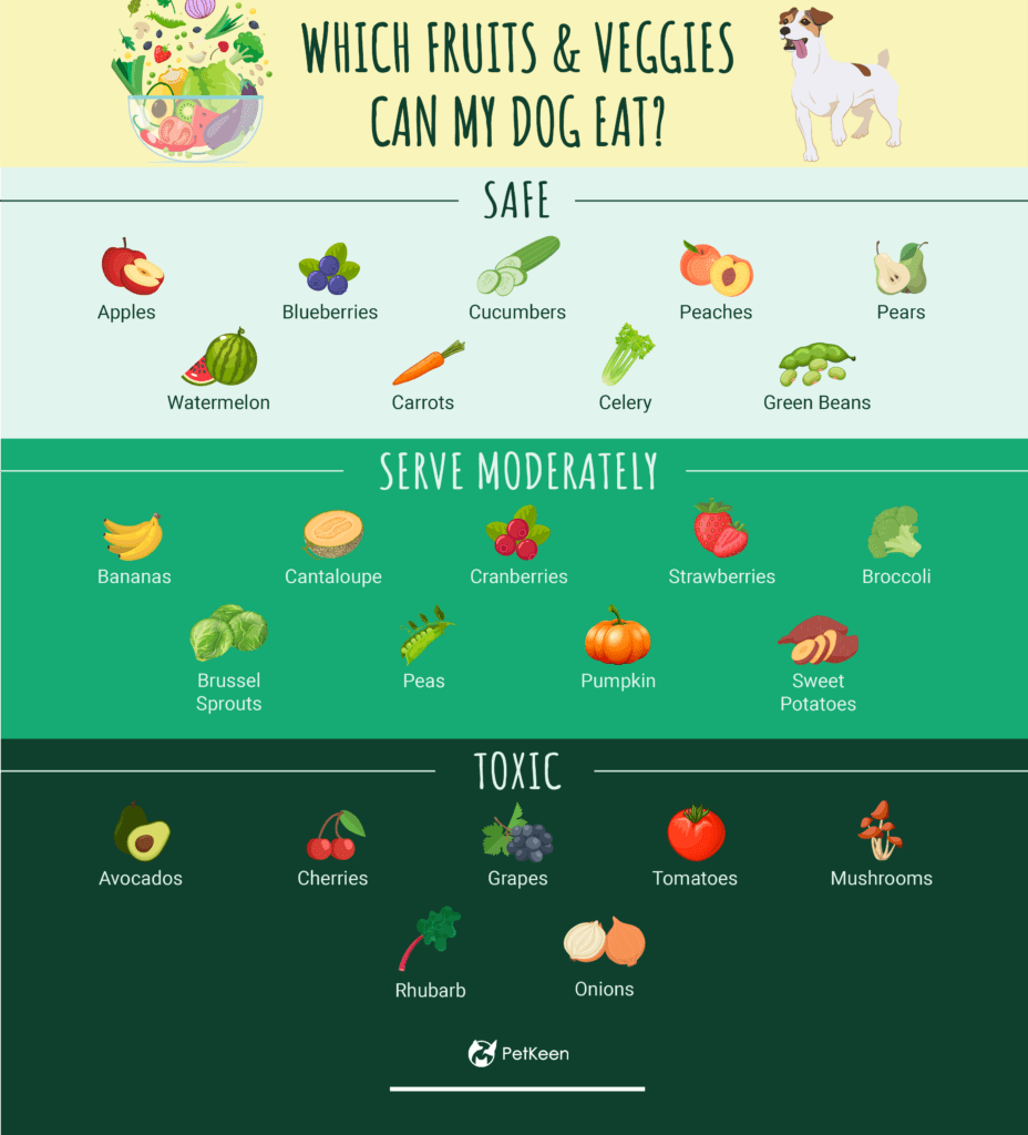 18 Safe Fruits & Vegetables for Dogs: A Trusted Guide with Infographic