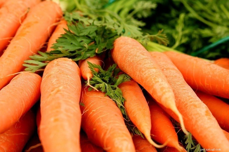 18 Safe Fruits & Vegetables for Dogs: A Trusted Guide with Infographic