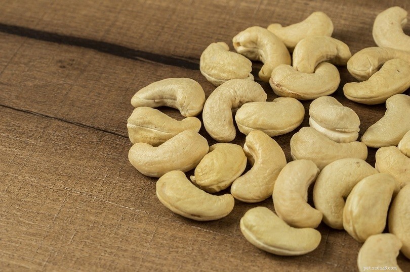 17 Human Foods That Are Safe for Your Dog to Enjoy