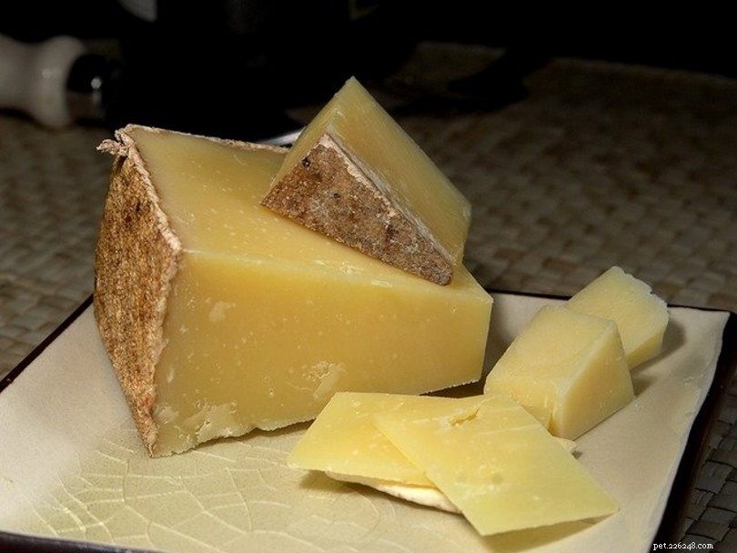 17 Human Foods That Are Safe for Your Dog to Enjoy