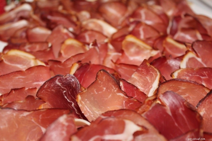 17 Human Foods That Are Safe for Your Dog to Enjoy